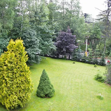 Popielica * 자코파네